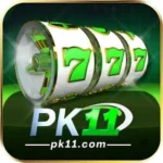 Download PK11 Game