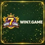 WIN7 Game Download APKJanders